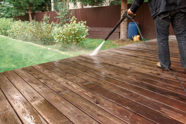 Best Pool Deck Cleaning  in San Luis, AZ